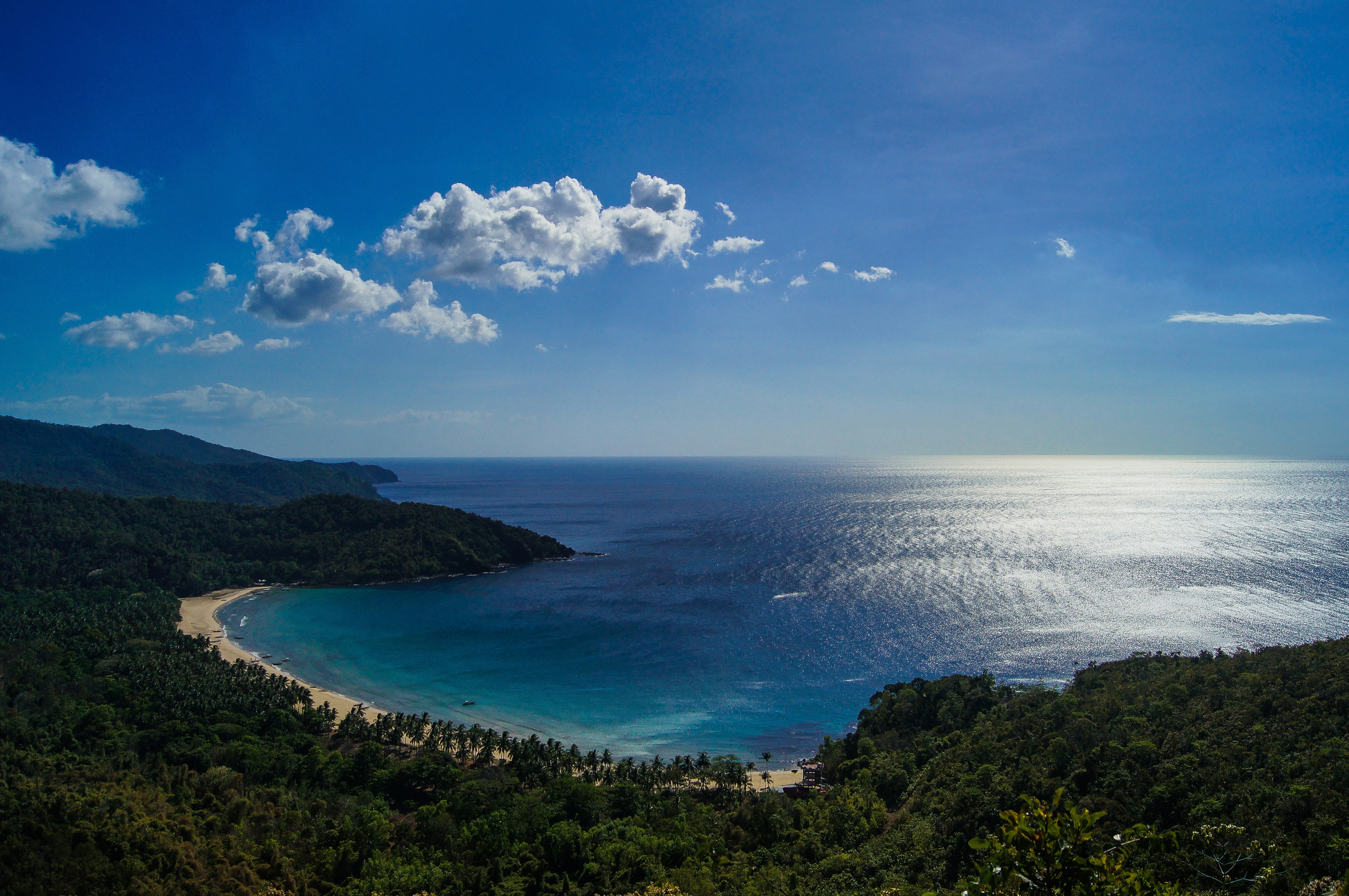 body of water and green forest